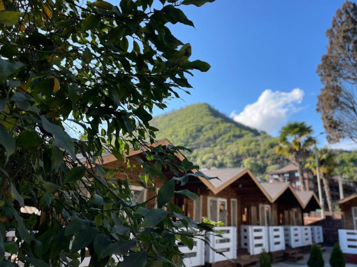 Гостевой Комплекс Парус Hotel New Athos Exterior foto